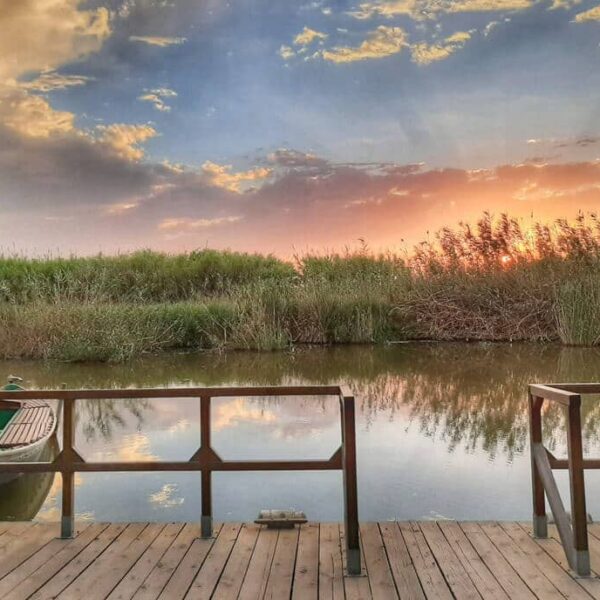 albufera