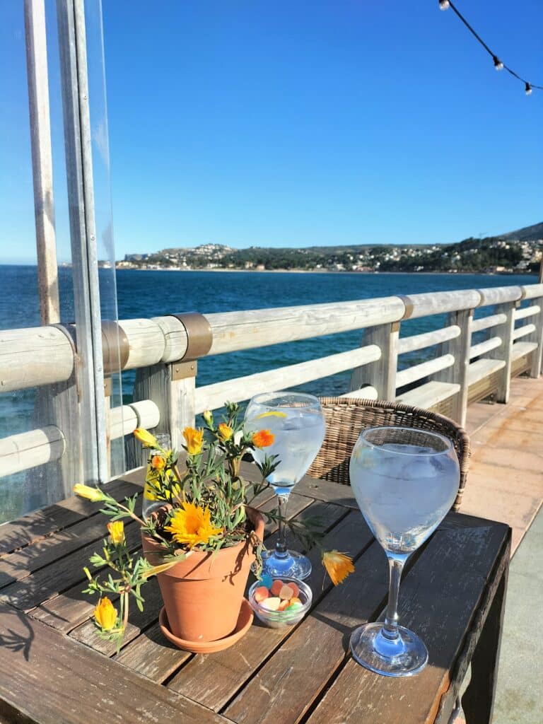 Gin Tonic en Mala Vita