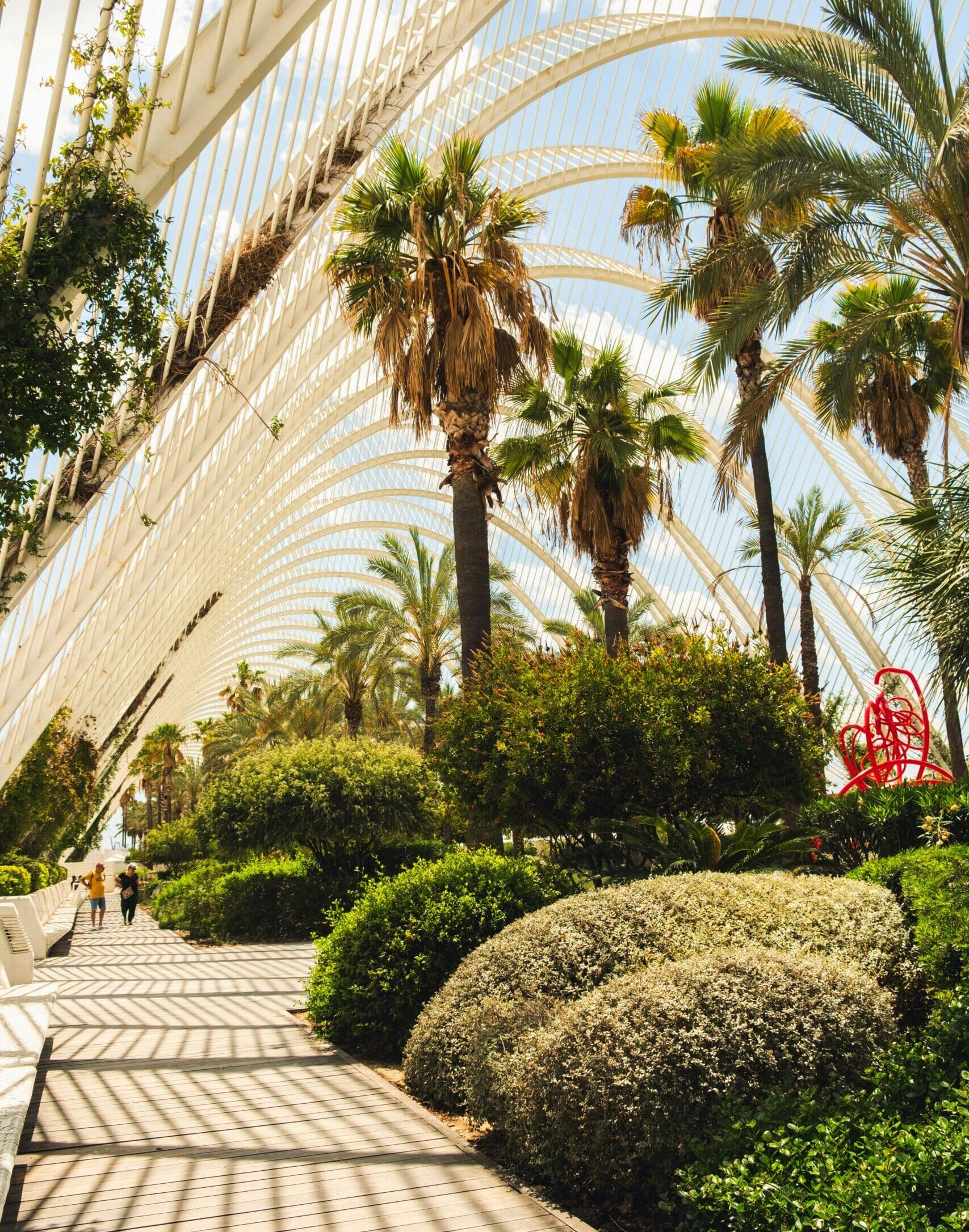 City of Arts and Sciences