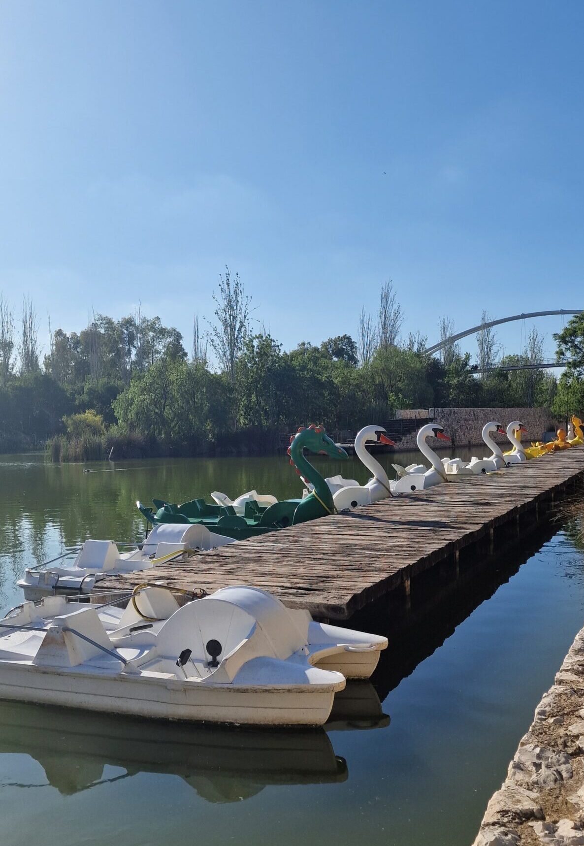 Parque de Cabecera di Valencia