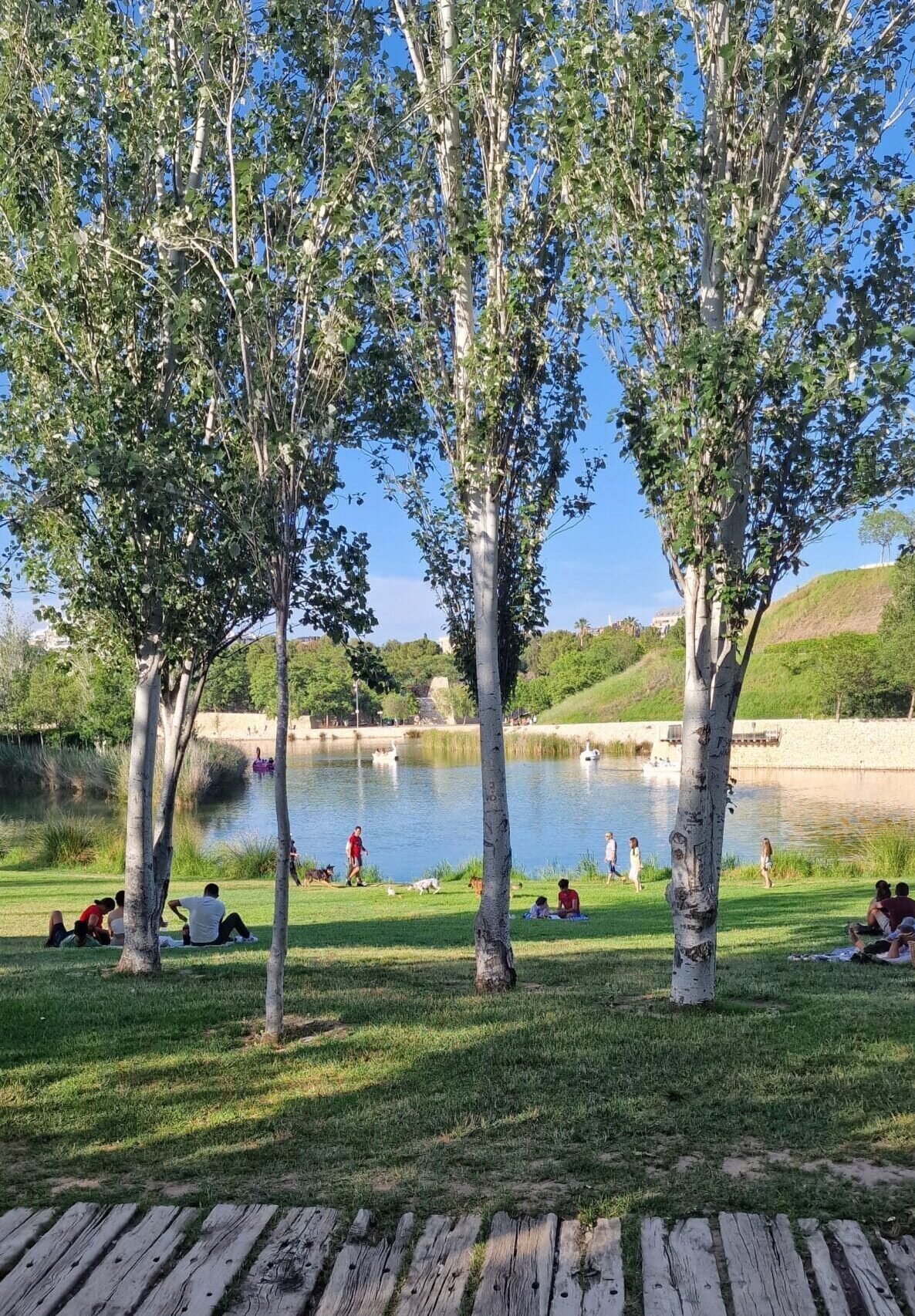 Parque de Cabecera di Valencia
