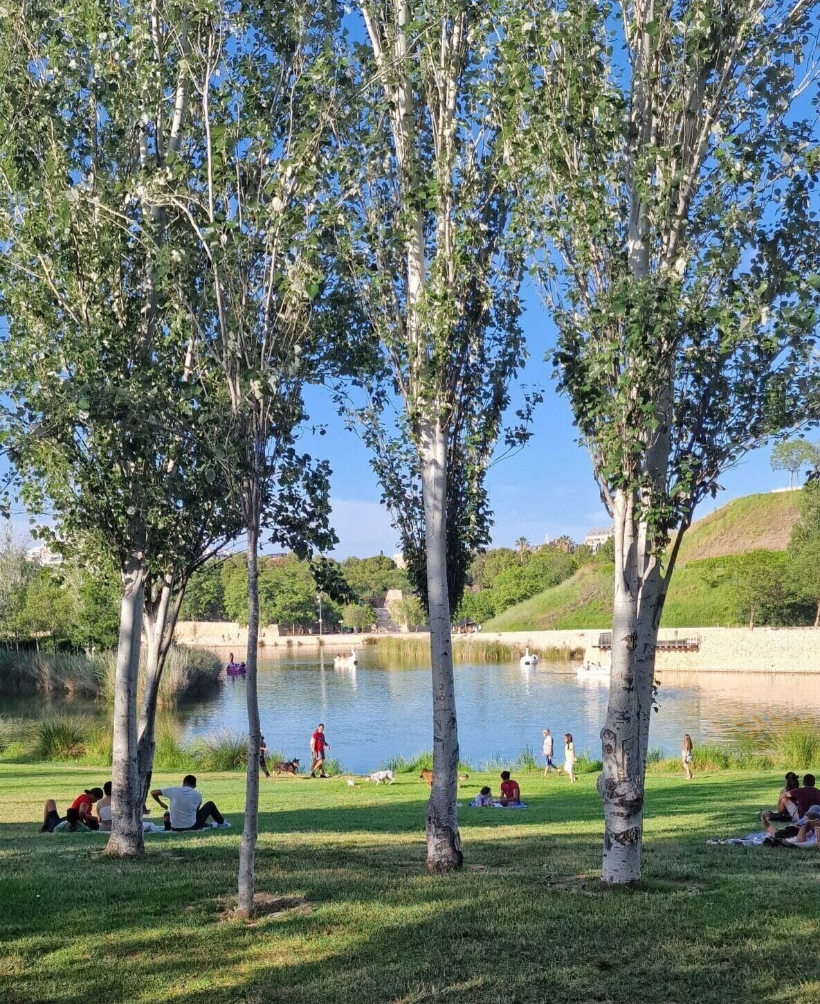 Parque de Cabecera en Valencia