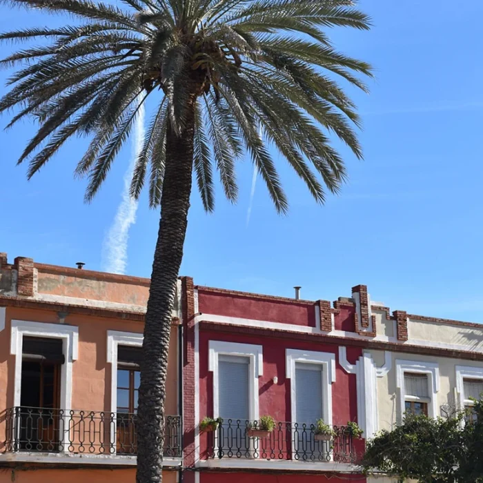 15 razones por las que visitar Valencia en 2023⬇️
