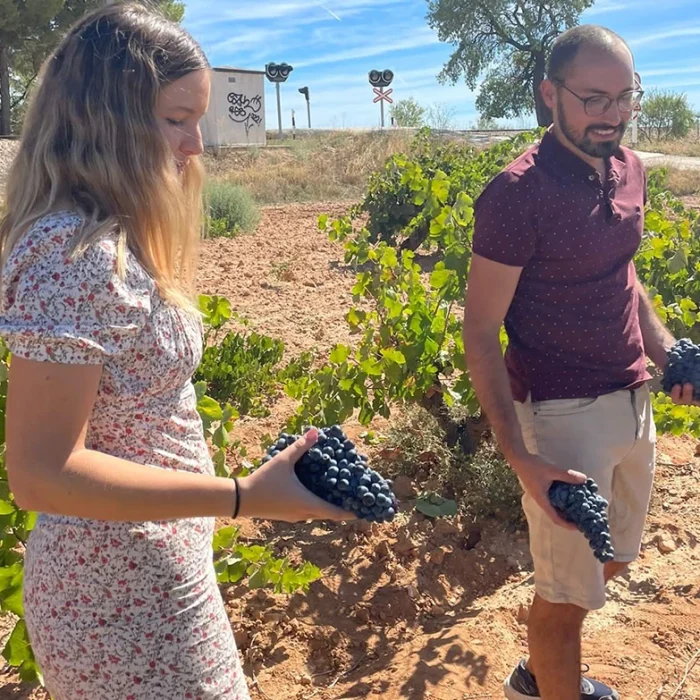 5 razones por las que visitar Utiel-Requena en otoño: la tierra del vino valenciano🍷