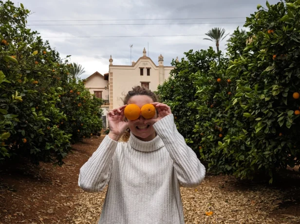 Una passeggiata nell'aranceto