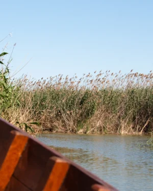 Excursión al Parque Natural de la Albufera