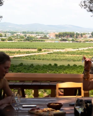 Excursión Bodegas Utiel-Requena con cata en viña